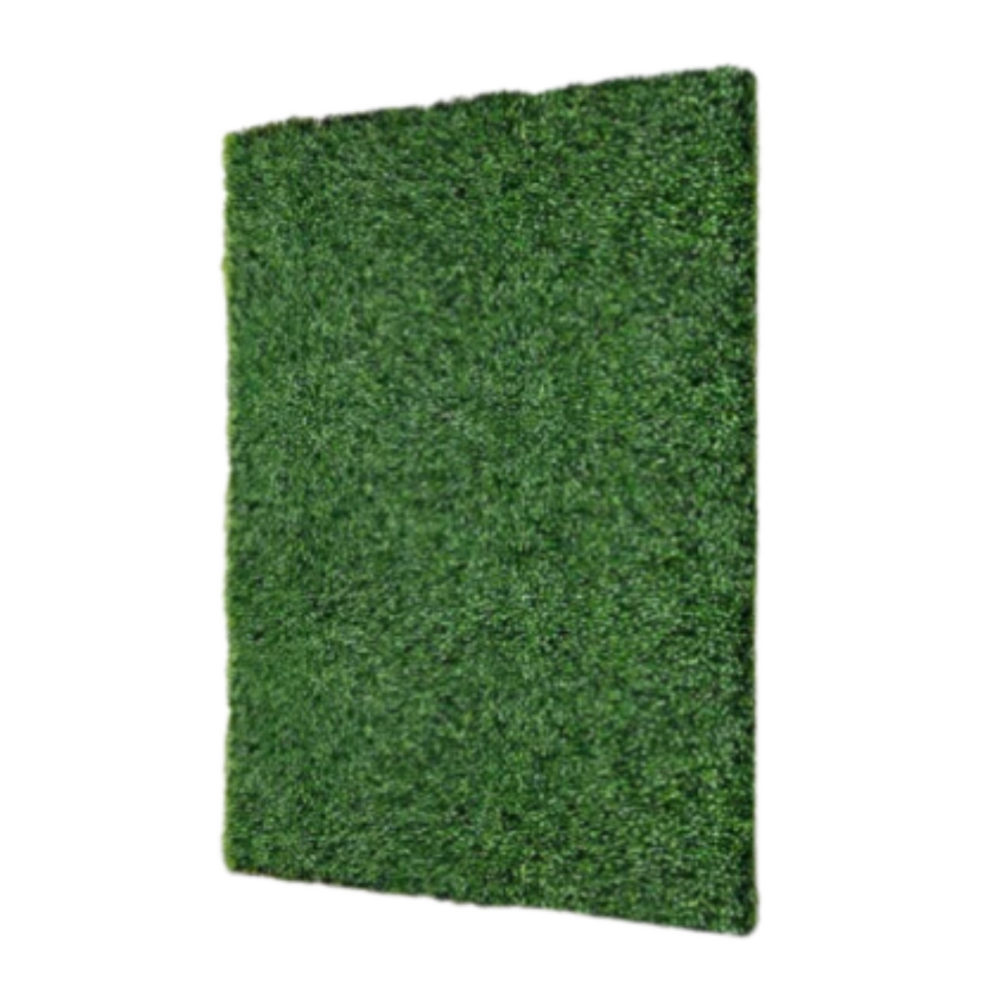 Grass accent wall set up as a photo backdrop for a wedding at Magnolia Venue in Pigeon Forge.